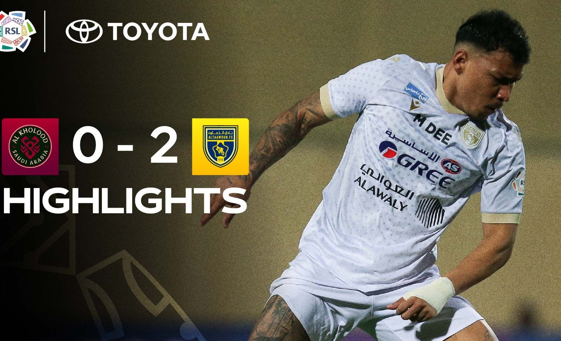 غلاف ملخص الخلود والتعاون