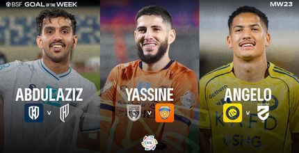 الأهداف المرشحة لهدف الجولة 23