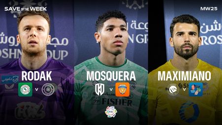 غلاف تصدي الجولة 25